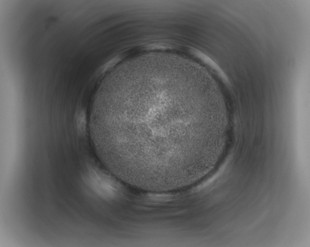 X0000113640825200909251239