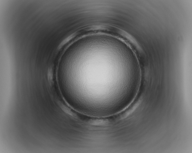 X0000113640826200909251239