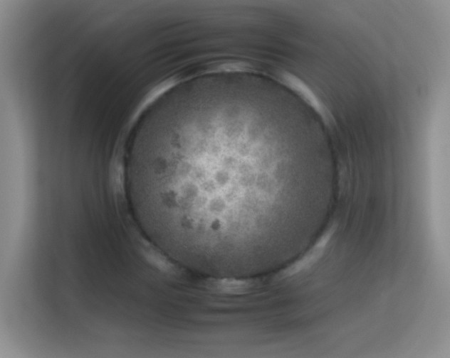 X0000113640827200909251239