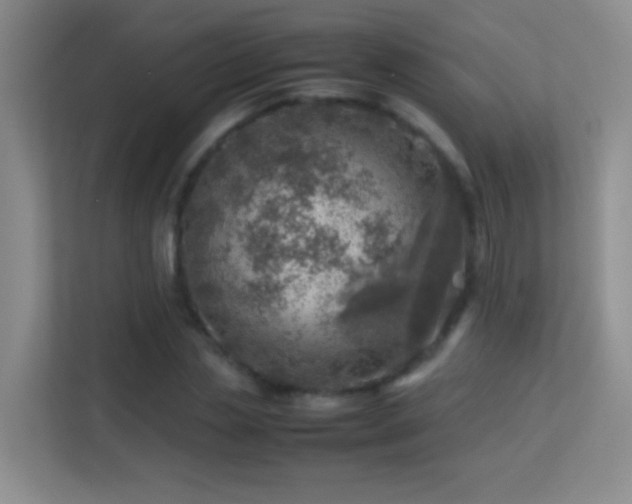 X0000113640829200909251239