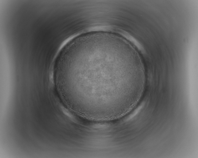 X0000113640830200909251239