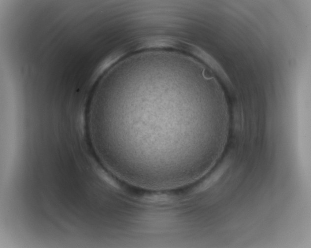 X0000113640834200909251239