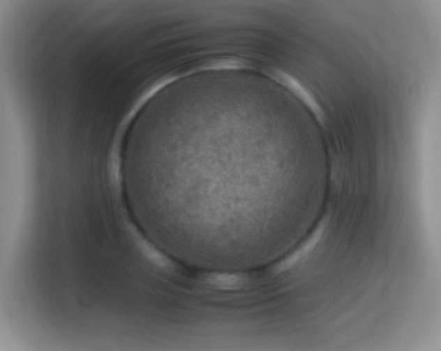 X0000113640835200909251239