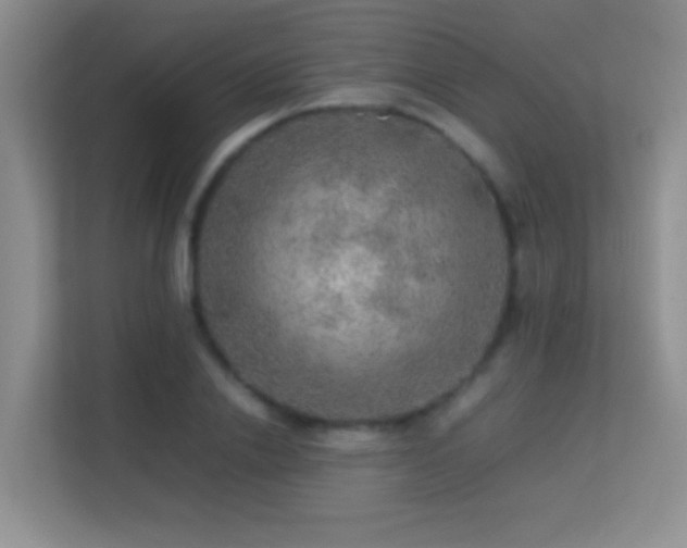 X0000113640838200909251239