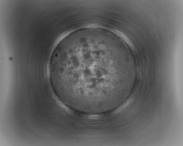 X0000113640839200909251239