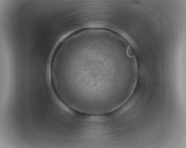 X0000113640840200909251239