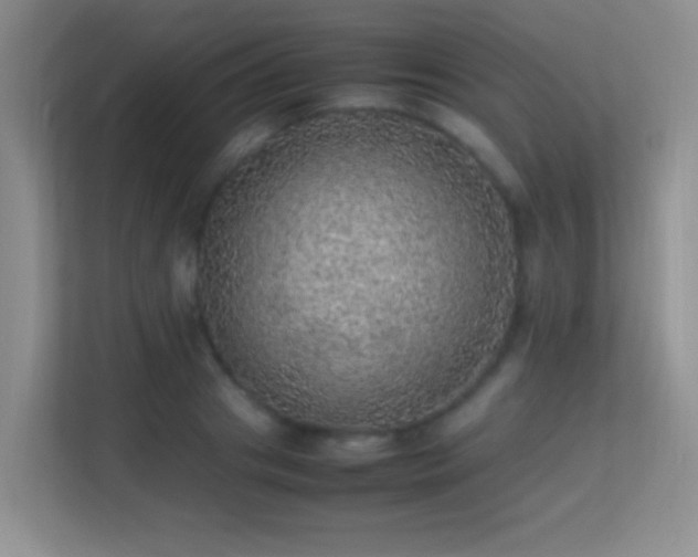 X0000113640841200909251239