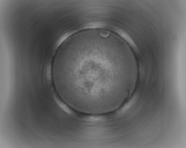 X0000113640842200909251239