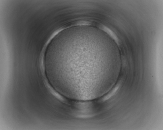 X0000113640843200909251239