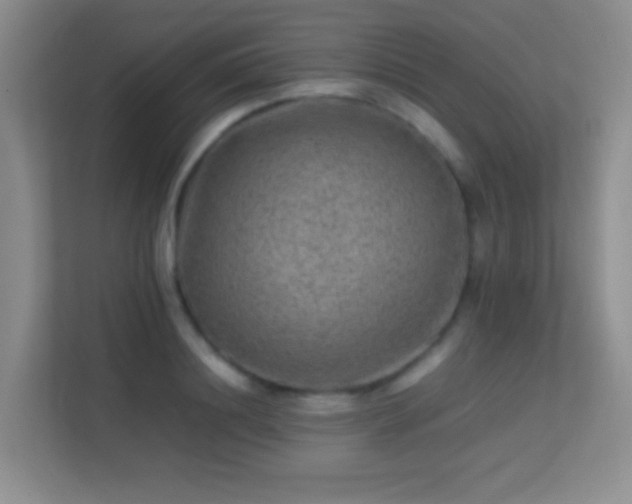 X0000113640844200909251239