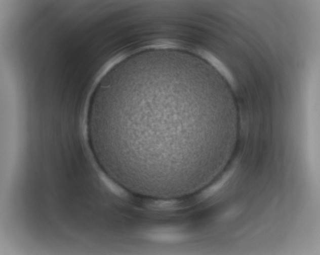 X0000113640845200909251239