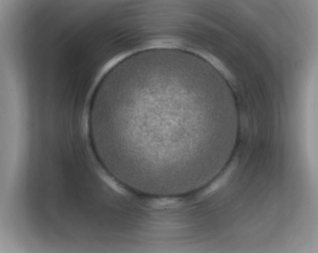 X0000113640846200909251239