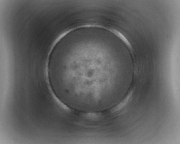 X0000113640847200909251239