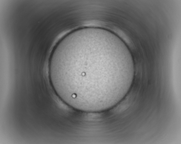 X0000113640848200909251239