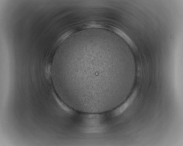 X0000113640849200909251239