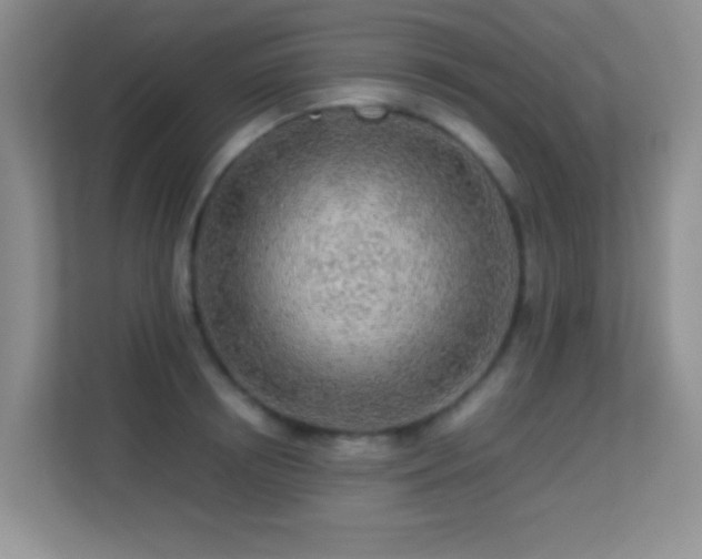 X0000113640850200909251239