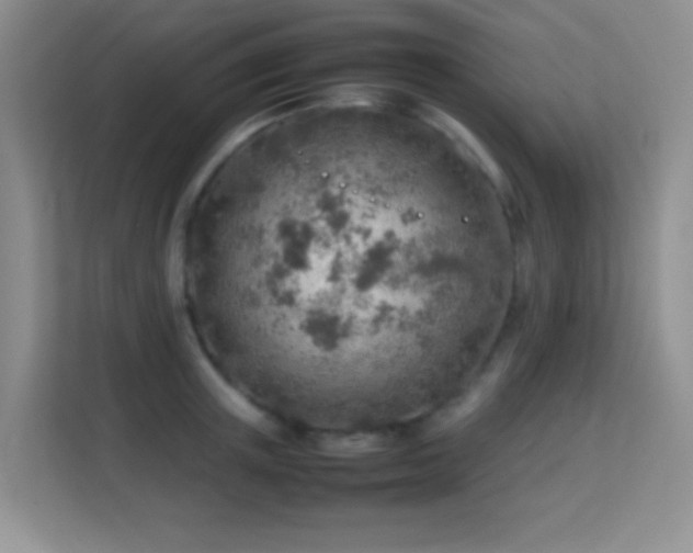 X0000113640851200909251239