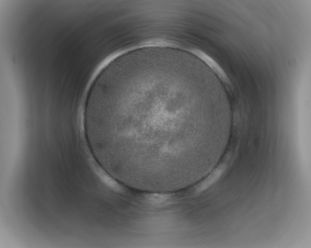 X0000113640854200909251239