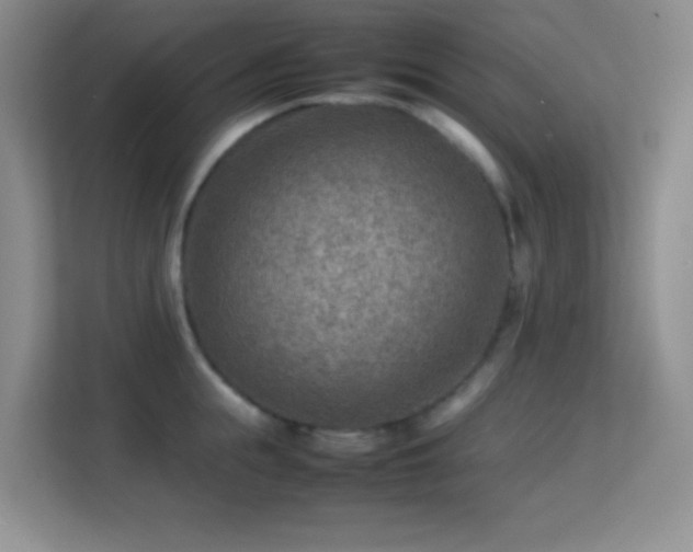 X0000113640855200909251239