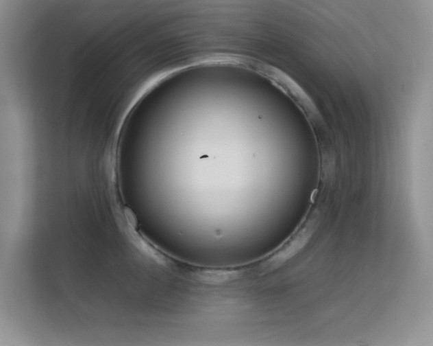 X0000113640860200909251239