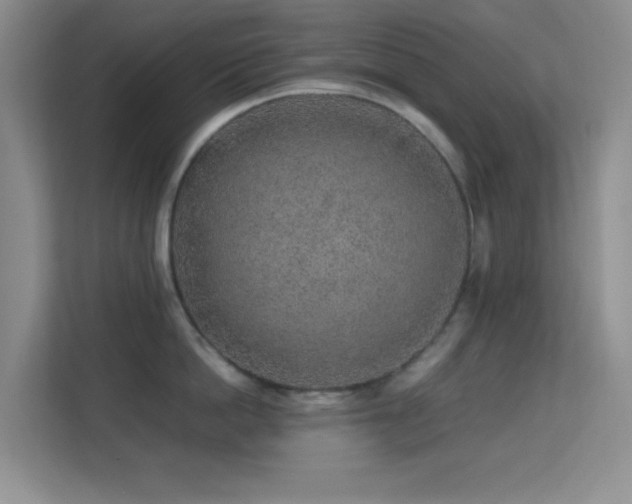 X0000113640862200909251239