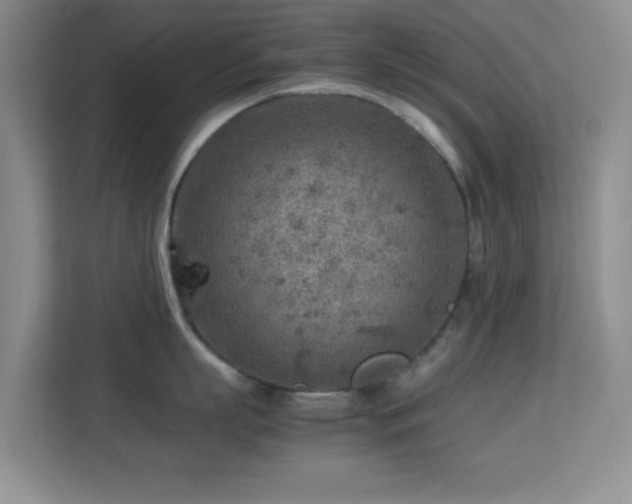 X0000113640863200909251239