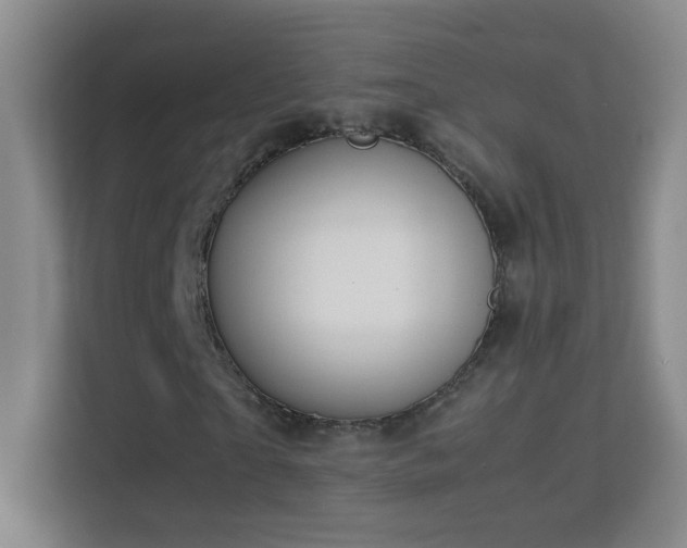 X0000113640865200909251239