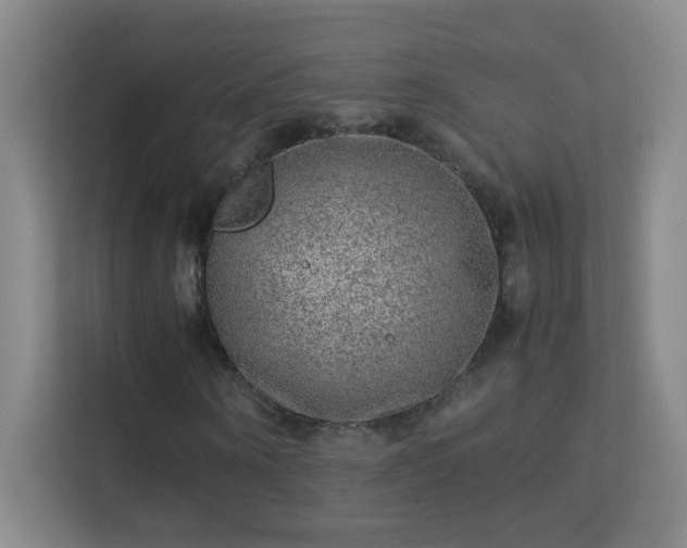 X0000113640866200909251239