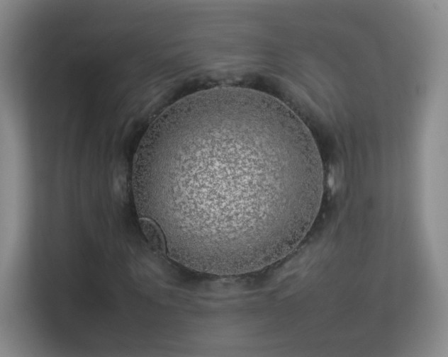 X0000113640867200909251239