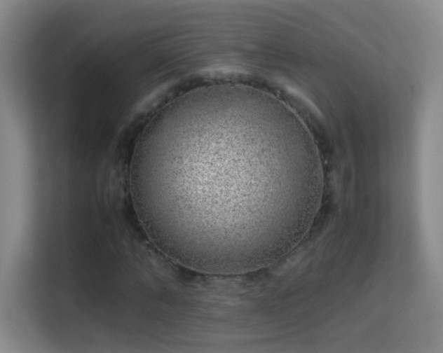 X0000113640870200909251239