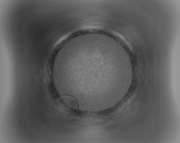 X0000113640871200909251239