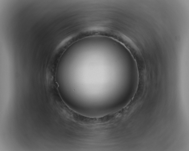 X0000113640872200909251239