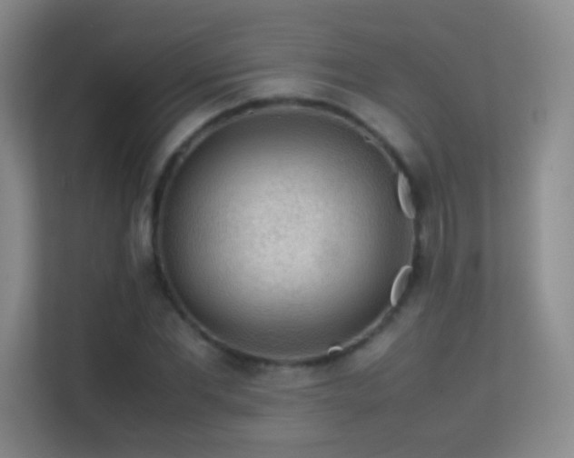 X0000113640877200909251239