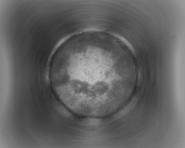 X0000113640878200909251239