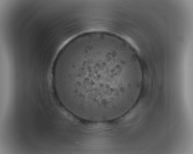 X0000113640879200909251239