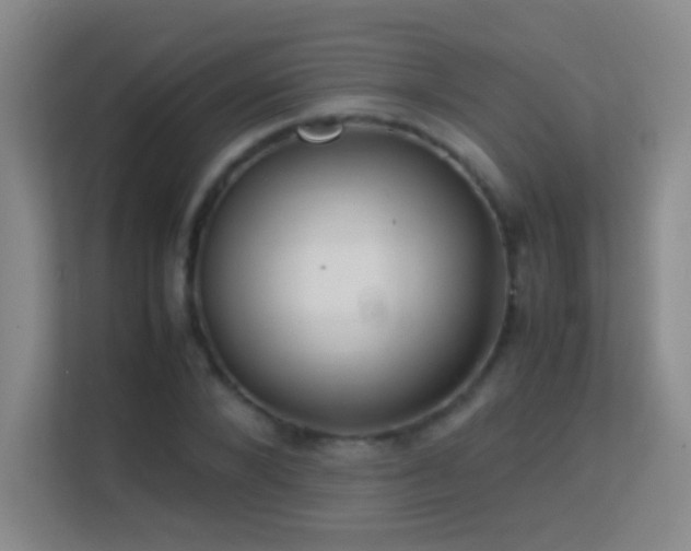 X0000113640880200909251238