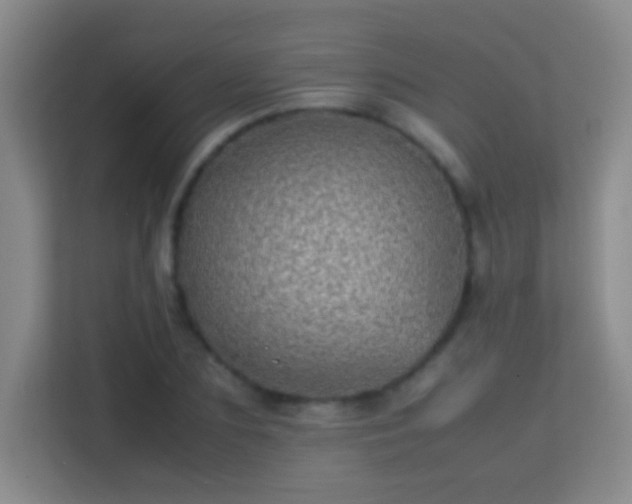 X0000113640883200909251238