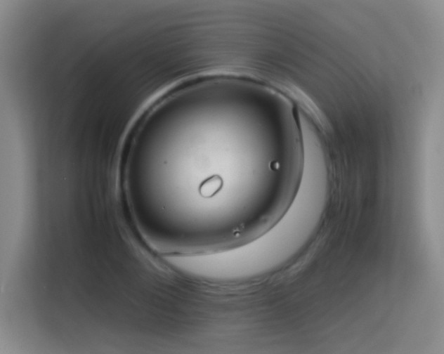 X0000113640884200909251238