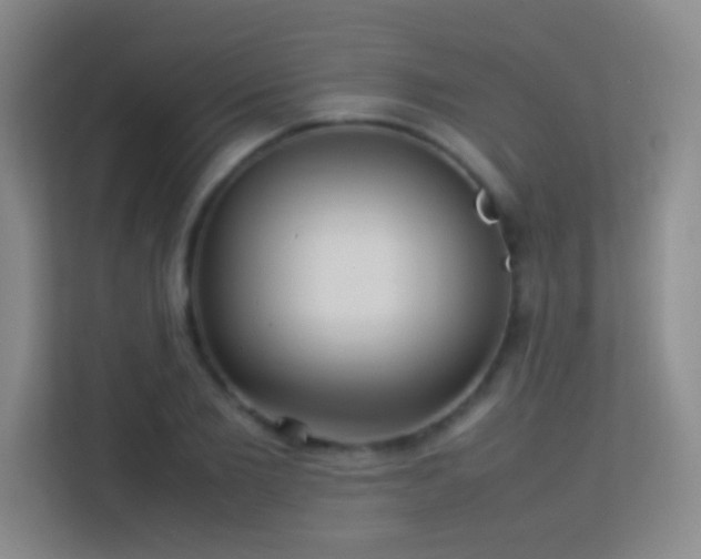 X0000113640885200909251238