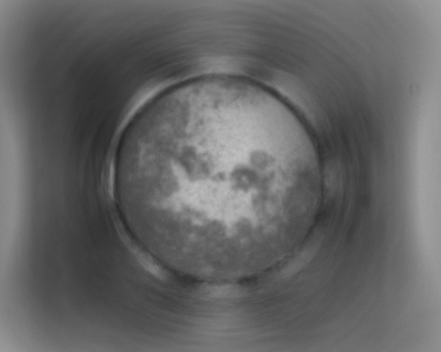 X0000113640886200909251238