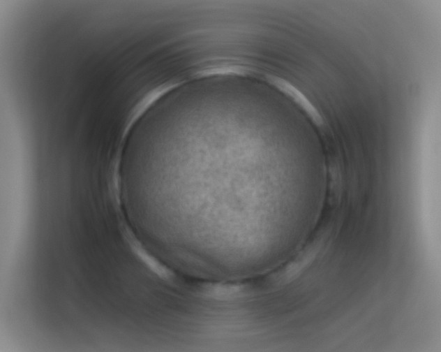 X0000113640890200909251238