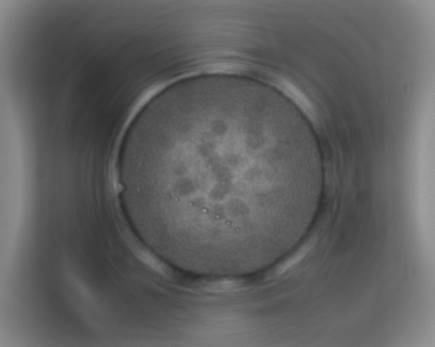 X0000113640891200909251238