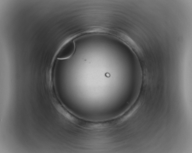 X0000113640892200909251238