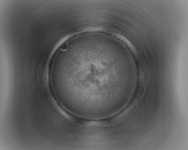 X0000113640894200909251238