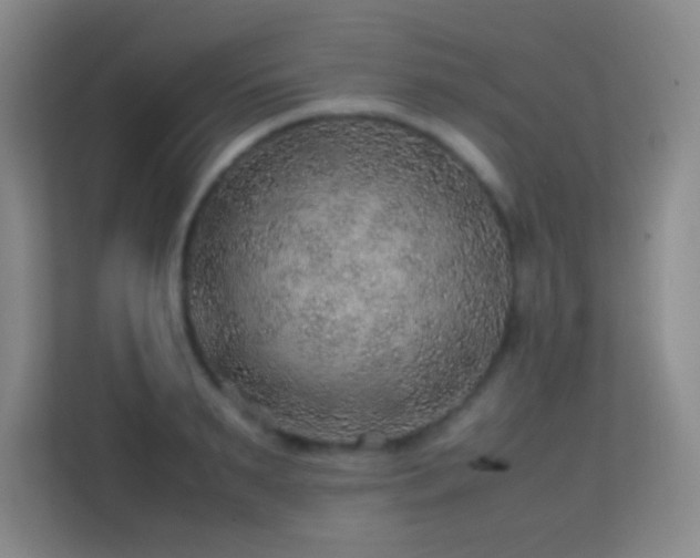 X0000113640895200909251238