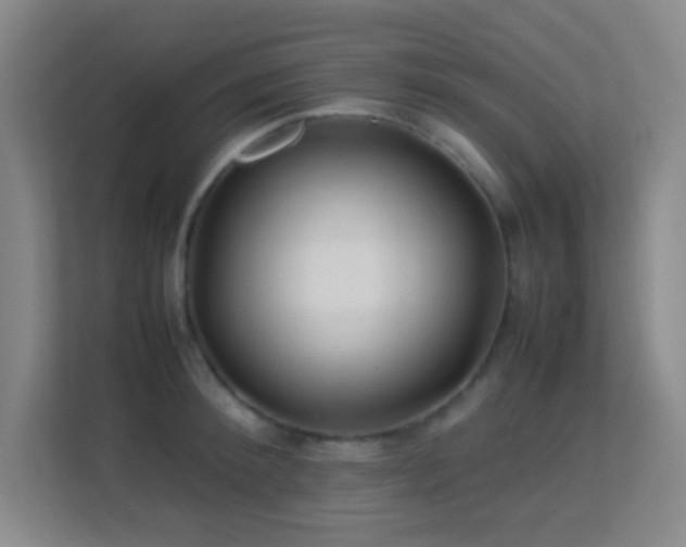 X0000113640900200909251238