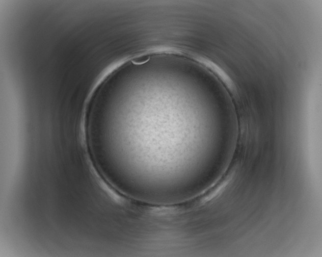 X0000113640902200909251238