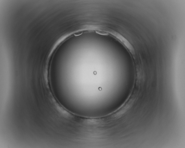 X0000113640904200909251238