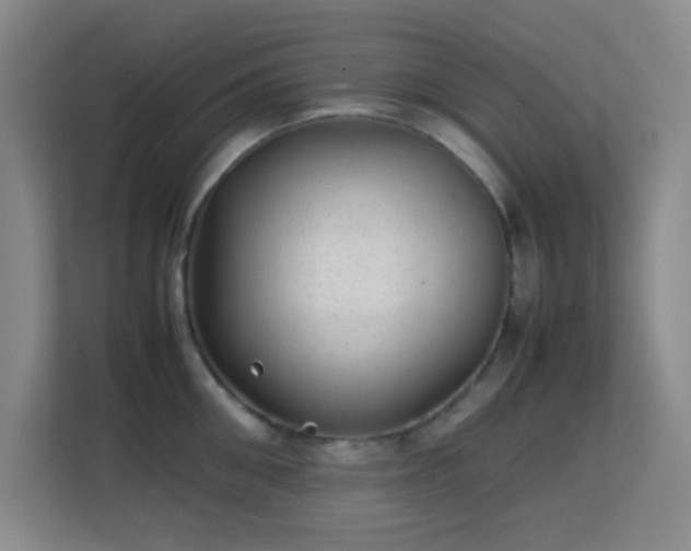 X0000113640906200909251238