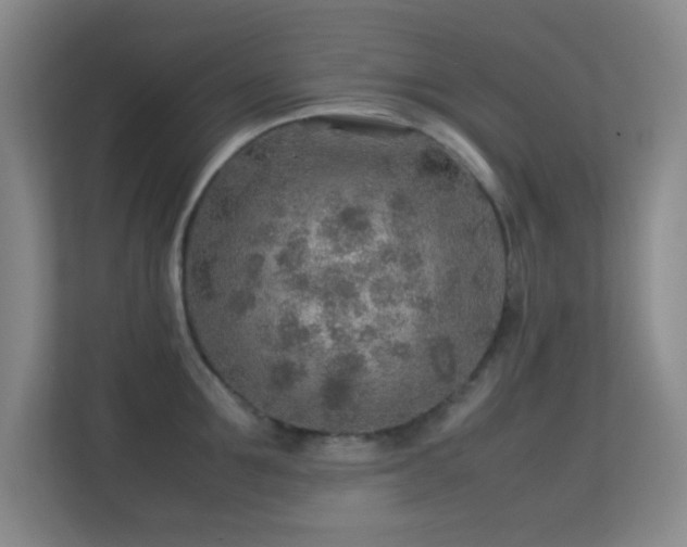 X0000113640907200909251238